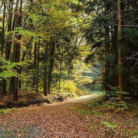 Willa Weinberghaus Prossen Bad Schandau Zewnętrze zdjęcie